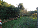 DSC01871