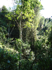 DSC01891