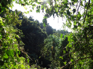 DSC01896