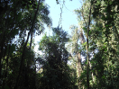 DSC01913