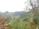 DSC02769