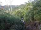 DSC02771