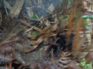 DSC02848