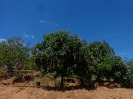 DSC02940