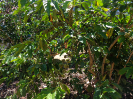 DSC02941