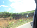 DSC02950