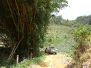 DSC02969