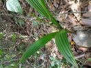 DSC02980