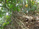 DSC02981