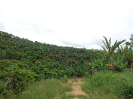 DSC02993