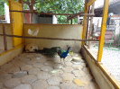 DSC02998