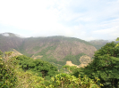 DSC03052