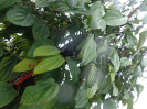 DSC03058