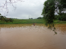 DSC03077
