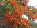 DSC03080