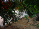 DSC03081