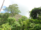 DSC03094