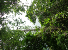 DSC03095