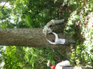 DSC03098
