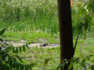 DSC03108