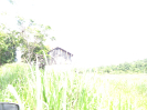 DSC03118