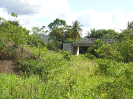 DSC03138