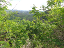 DSC03179
