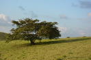 DSC_9101_relatorio