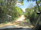 IFN_PR (17)