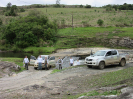 IFN_PR (29)