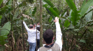 IMG-20150930-WA0033