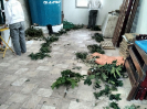 IMG-20151008-WA0012