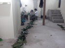 IMG_20141118_203030