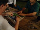 IMG_20151015_230145013