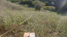DSC01603