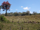 DSC05852 - Cópia