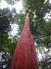 DSC06013 - Cópia