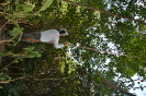 DSC_7491_relatorio