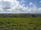 AL_41_2_4825