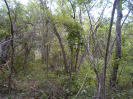 AL_7C_0_5723