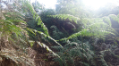 BA_1024_4_3135