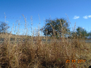 BA_1037_F3_pan