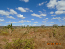 BA_1037_F5_3