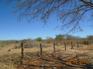 BA_1041_F3_pan