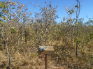 BA_1071_F3_pan