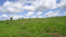 BA_1183_03_133