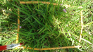 BA_1183_03_134a