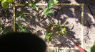 BA_1192_F9_4_1