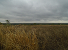 BA_1222_F5_1
