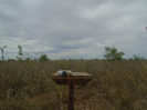 BA_1223_F3_pan